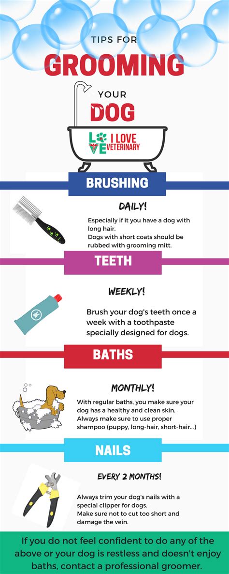 dog grooming study guide